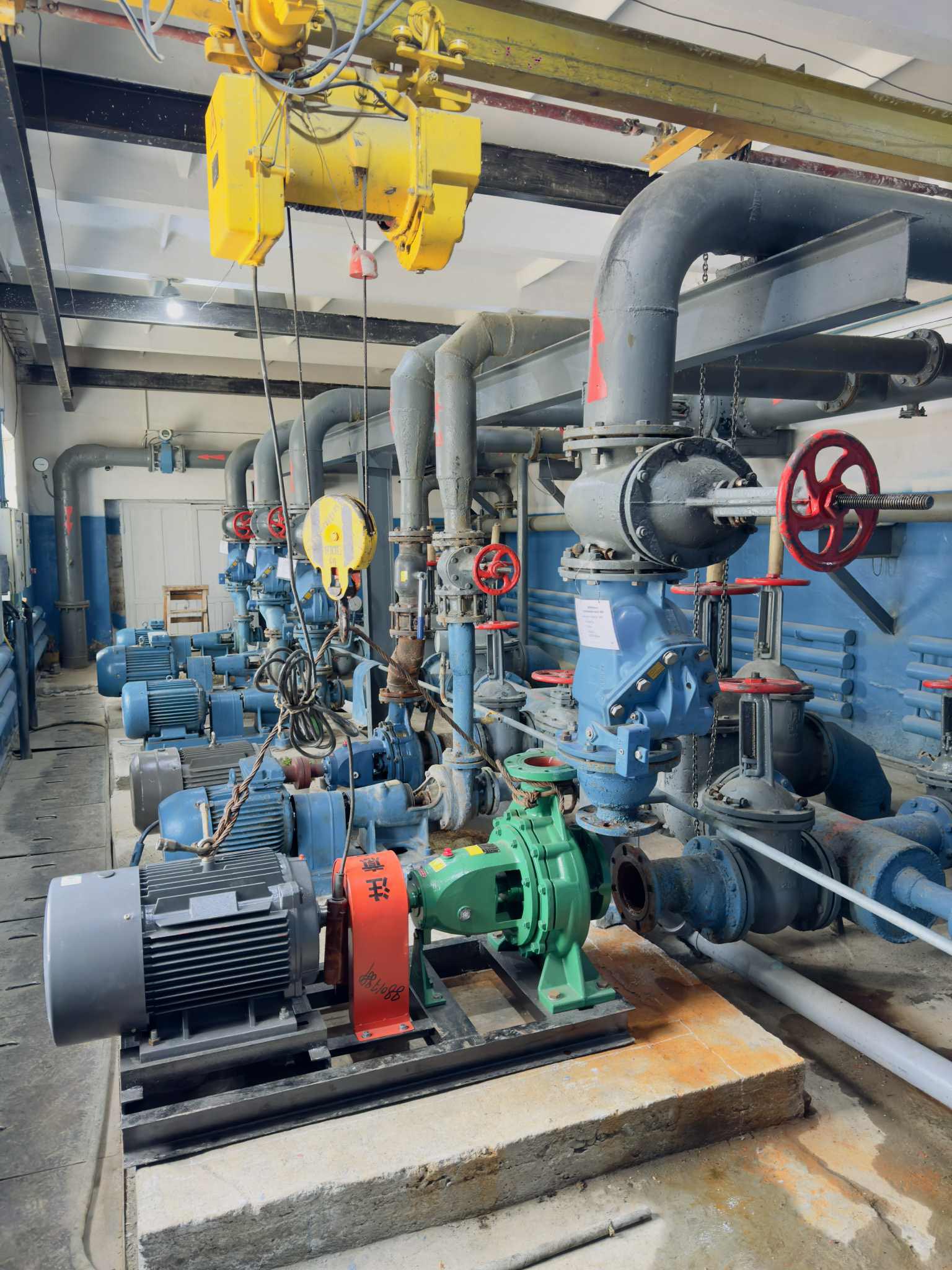 502669882_1012309097550312_4611739230134593239_n